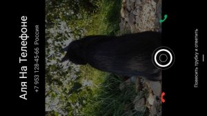 девочка  барин