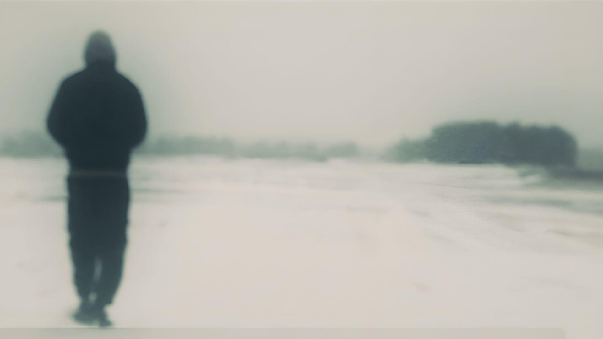 Они придут когда солнце зайдет