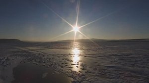 Лещ на водохранилище.