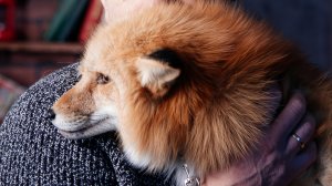 #уралиса                                     я же мать