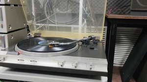 Diatone DP-84DA +79235077707