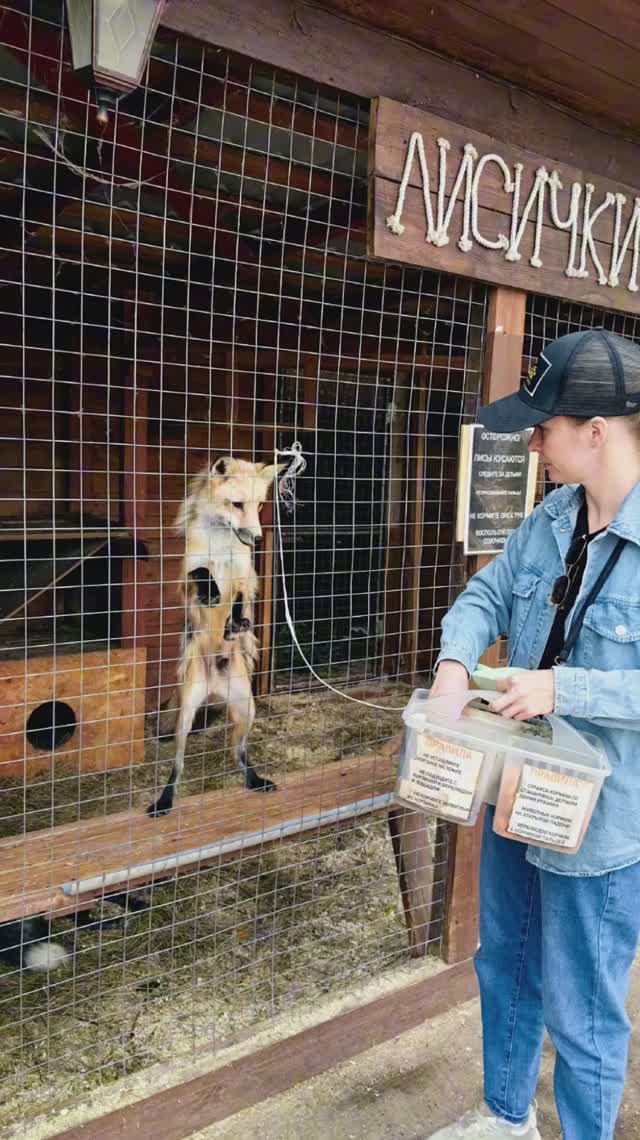 Сергей и Алиса | История двух сердец | Воспоминания на всю жизнь | Ранчо Авенсис | Часть 4