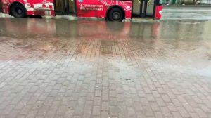 Вчера выпал снег, а сегодня дождик поливает. 11 декабря