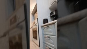 басики шпионы 2 часть