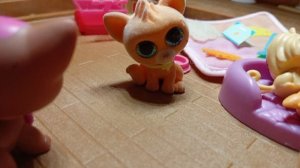 Щенячий патруль и Sylvanian families-"Щенки спасают невиновных. 1 часть"