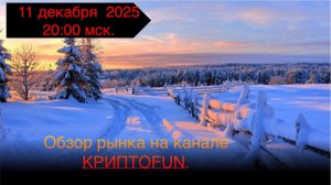 Дополнительный обзор рынка от 11 декабря 2025 года.
