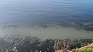 Керчь. Приморский парк, реконструкция 11.12.25