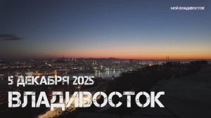 Владивосток с видовой площадки Нагорного парка,вечер (5 декабря 2025).