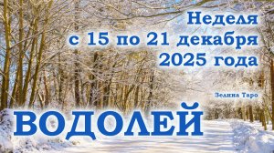 ВОДОЛЕЙ | ТАРО прогноз на неделю с 15 по 21 декабря 2025 года