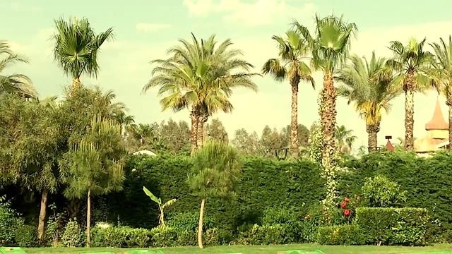 «Я ухожу с причала,счастливого пути» – Дмитрий Прянов смотреть онлайн