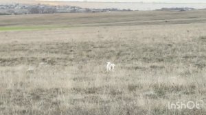 Федора. 11.12.25