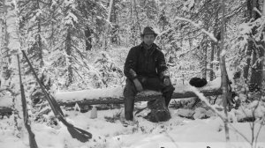 Тайга.  Истории таежные