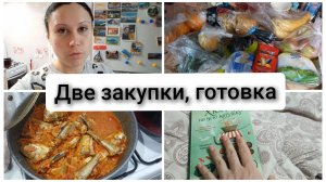 Две закупки продуктов, готовлю суп и минтай, читаю книгу. Влог 5-10.12.2025