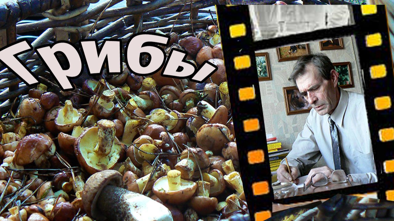 Грибы смотреть онлайн