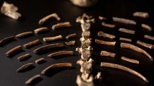 People: художница шила куклы из человеческих останков и торговала ими