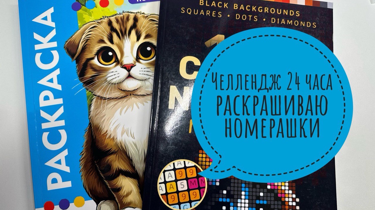 Челлендж 24 часа раскрашиваю в раскрасках по номерам! смотреть онлайн