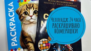 Челлендж 24 часа раскрашиваю в раскрасках по номерам!