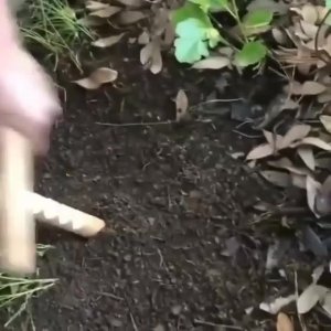 Еще один лайфхак для рыбаков.