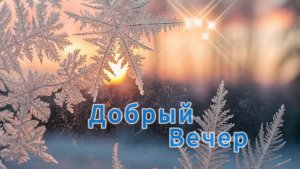 Пожелания доброго вечера – тёплая видео открытка с красивыми словами