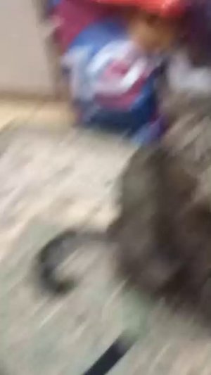 Уже 4 часть стрима