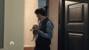 Первый отдел. Шибанов уносит ноги от Веры Брагиной когда подарил её сыну на день рождение собаку