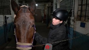 Трибуны на льду Амура: Благовещенский ипподром отмечает 120 лет