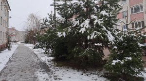 9-10 декабря. Прогул. Бывает и так ! А вы уже готовитесь к Новому году?