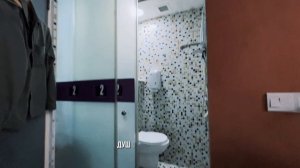 Погружение в Сингапур: первый Forest Walk и прогулки по downtown