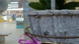 #красота в магазинах Брянск