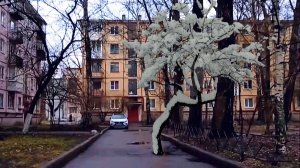 Дворы хрущёвок ждут реновацию...