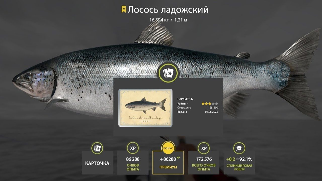 ФАРМЫ НА ЛАДОЖСКОМ АРХИПЕЛАГЕ, МЕДНОМ, РАЗДАЧИ ТРОФОВ НА МОРЕ, ВЬЮНКЕ ЯНТАРНОМ ОБЗОР РУССКАЯ РЫБАЛКА