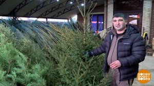 Елочка, тебя зарезервировали! Доброе утро. Фрагмент выпуска от 11.12.2025