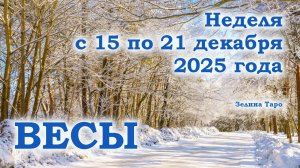 ВЕСЫ | ТАРО прогноз на неделю с 15 по 21 декабря 2025 года