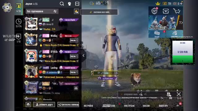 LIVE: WildTom_YouTube