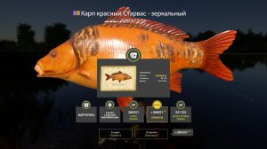 ДОБИВАЕМ 100 000 СЕРЫ МЕДНОЕ И ДРУГИЕ ВОДОЕМЫ В РУССКОЙ РЫБАЛКЕ 4 СТРИМ