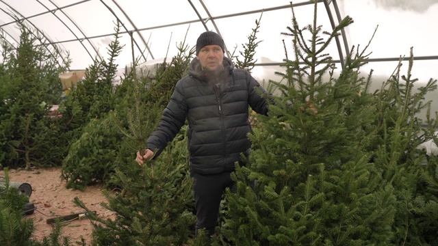 Новости Прокопьевска 11 12 2025