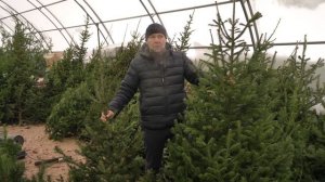 Новости Прокопьевска 11 12 2025