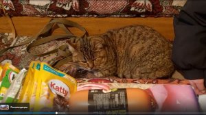 ТЁТЯ ВАЛЯ И ЕЁ ЖИЗНЕННЫЙ ОПЫТ