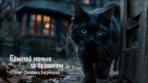 "Чёрной ночью за окошком" - стихи Галины Багрецовой ..