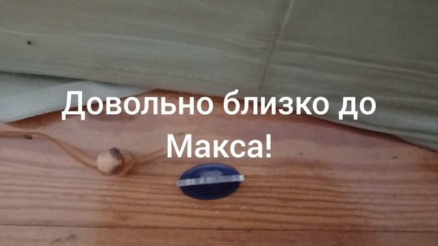 Геншин Импакт ( Укороченное приключение).