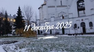 Наконец-то выпал снег. 11 декабря. Надолго ли 🤔