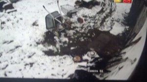 Растаскивают еду и прячут ее где -то     ПОДПИШИСЬ