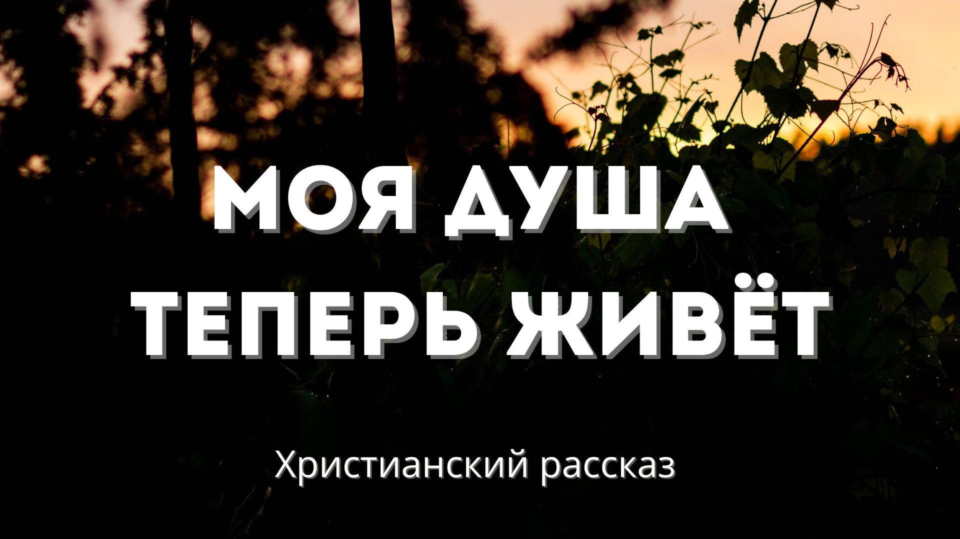 Моя душа теперь живёт | Рассказ о пути через боль и утраты