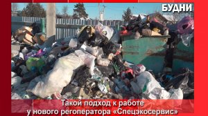 Свалки возле площадок ТКО в Белогорске уберут 5 нанятых организаций и «управляйки»