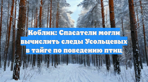 Коблик: Спасатели могли вычислить следы Усольцевых в тайге по поведению птиц