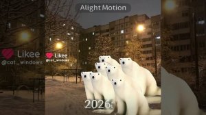 они к нам приедут уже через 20 дней🎉