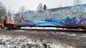 В Московский Кремль привезли главную новогоднюю елку страны