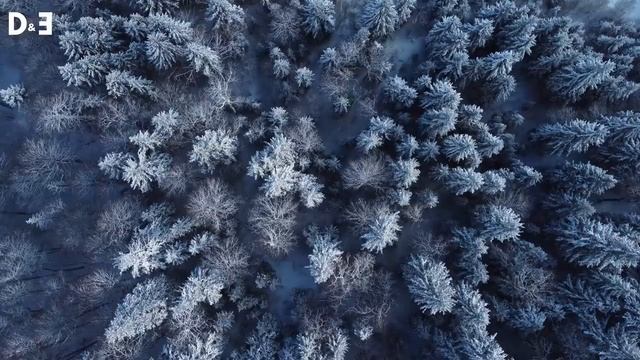 Luxury Vibes - Deep House Mix by Gentleman [Winter Essentials] Vol.1 смотреть онлайн