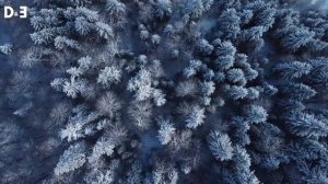 Luxury Vibes - Deep House Mix by Gentleman [Winter Essentials] Vol.1