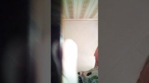 VID_20251211_191558.3gp